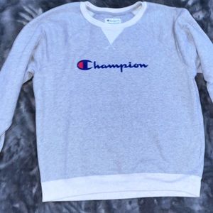Champion Gray Sweater